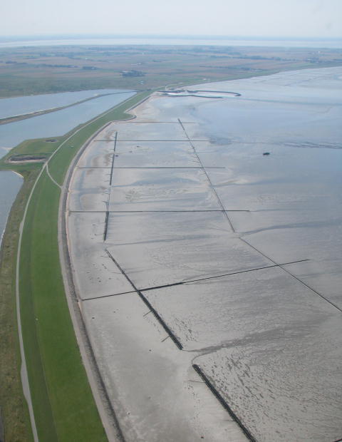 Dike at Beltringharder Koog in North Frisia, Germany