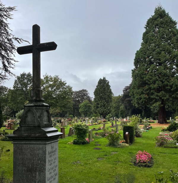 Photo of graves at the Riensberg cemetery in Bremen, Germany.