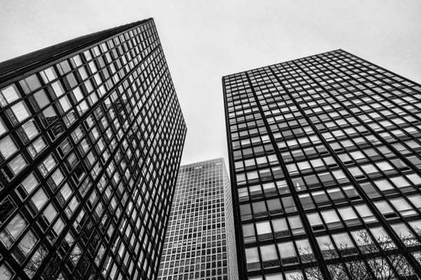 Black-and-white photograph of two multistory buildings by Ludwig Mies van der Rohe (in the background you can see a third multistory building)