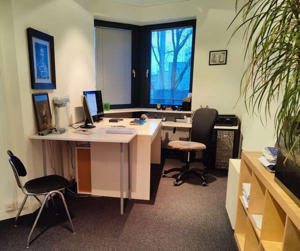 Photo of an office room with a corner window, large desk, 2 chairs and a shelf with green plants