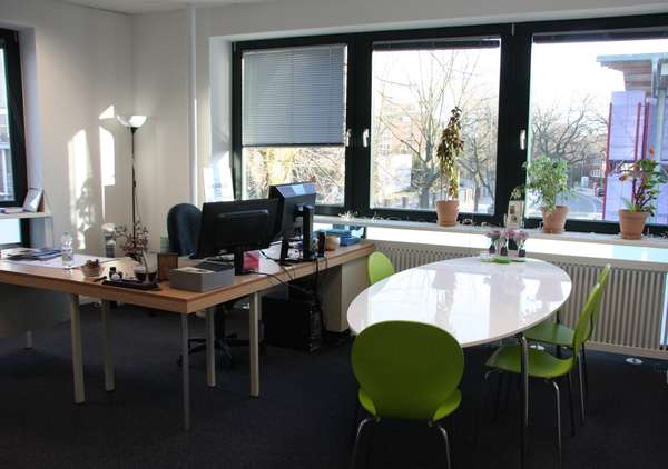 Photo of a bright office space with many windows, some green plants and a large oval table and green chairs on the right and a large desk on the left.